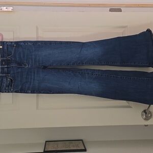 American Eagle Outfitters Dark Blue Flare Jeans